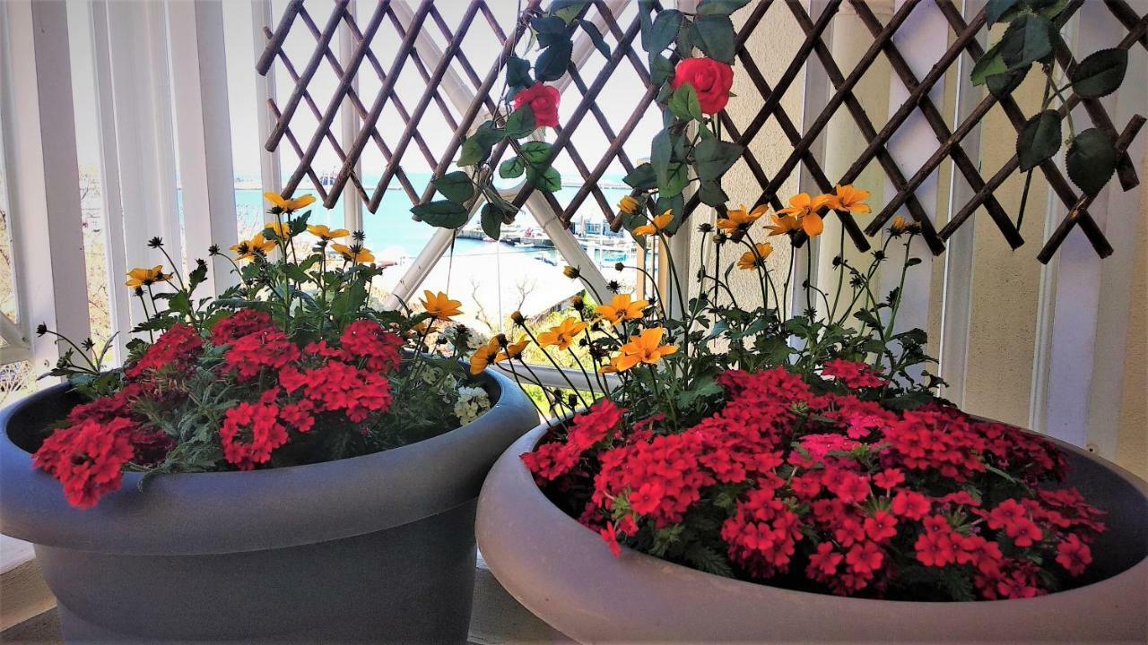 Marizot Apartment أليكسانثيربوليس المظهر الخارجي الصورة